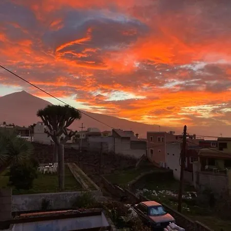 Casa Mariposa Monarca 1