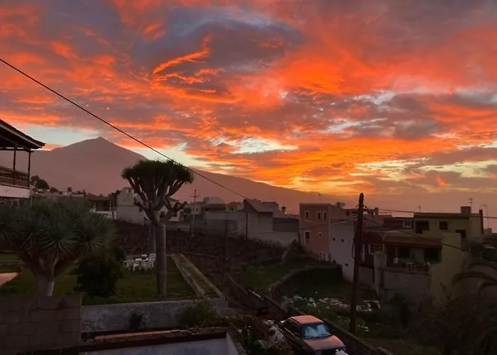 Casa Mariposa Monarca 1